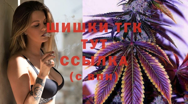 шишки Алексин