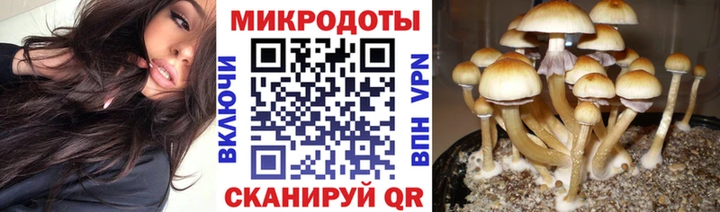 Псилоцибиновые грибы мухоморы Аркадак